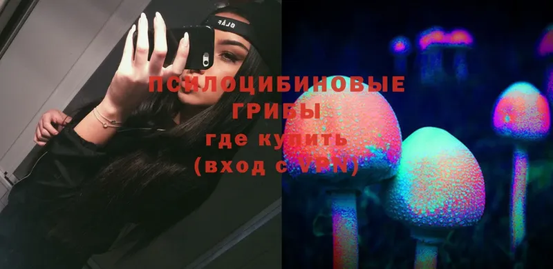 Псилоцибиновые грибы ЛСД  MEGA сайт  Вяземский 